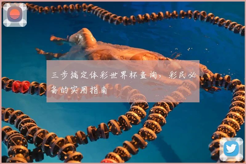 三步搞定体彩世界杯查询，彩民必备的实用指南