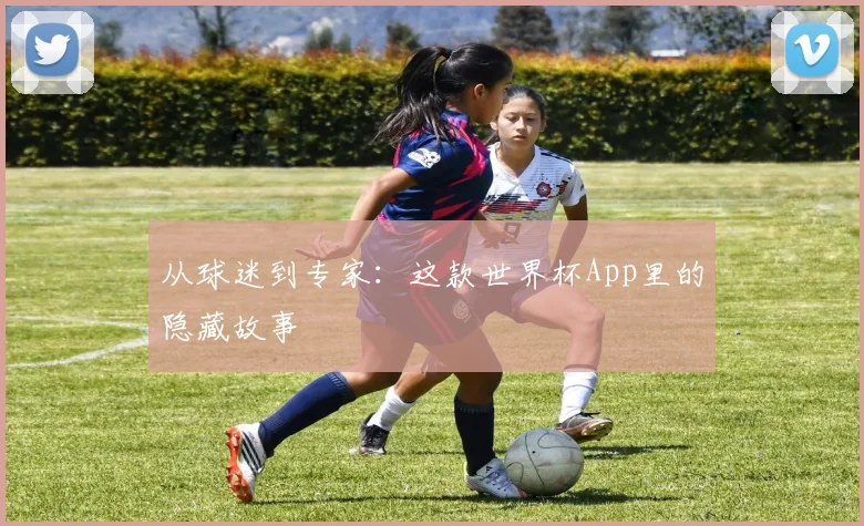 从球迷到专家：这款世界杯App里的隐藏故事
