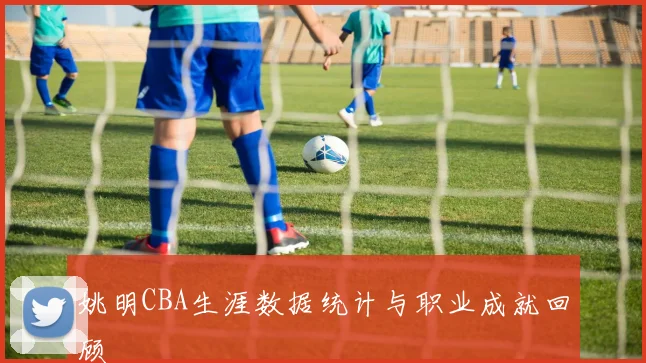 姚明CBA生涯数据统计与职业成就回顾