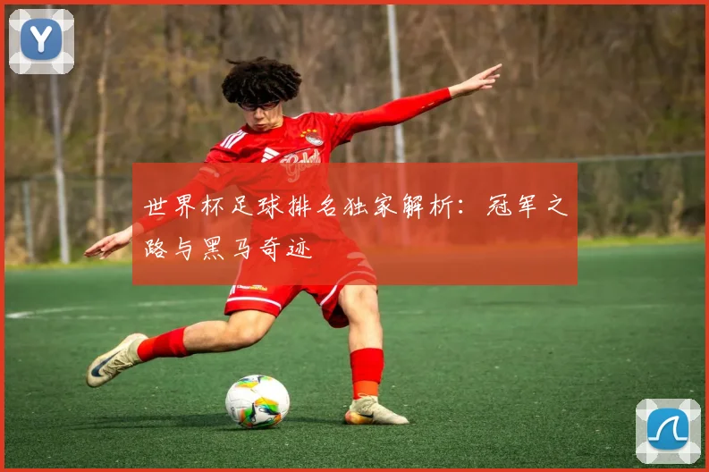 世界杯足球排名独家解析：冠军之路与黑马奇迹