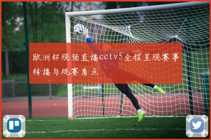 欧洲杯现场直播cctv5全程呈现赛事转播与观赛看点