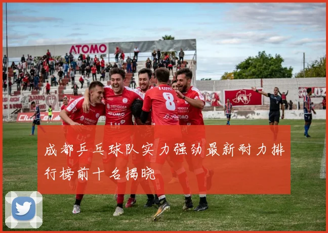 成都乒乓球队实力强劲最新耐力排行榜前十名揭晓