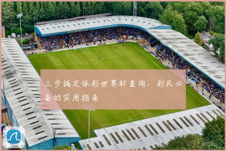 三步搞定体彩世界杯查询，彩民必备的实用指南