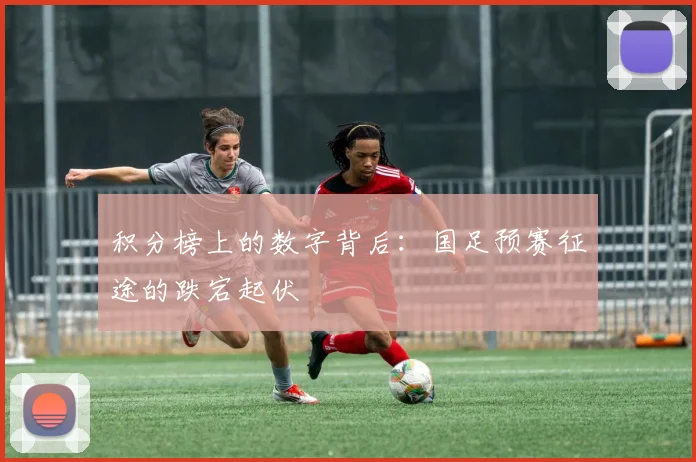 积分榜上的数字背后：国足预赛征途的跌宕起伏