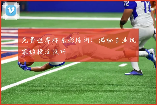 免费世界杯竞彩培训：揭秘专业玩家的投注技巧