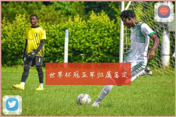 世界杯冠亚军归属落定