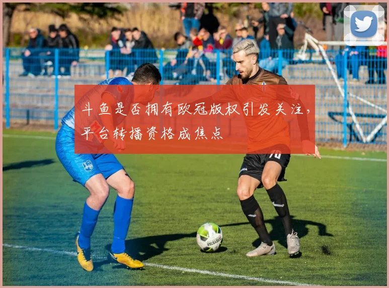 斗鱼是否拥有欧冠版权引发关注，平台转播资格成焦点